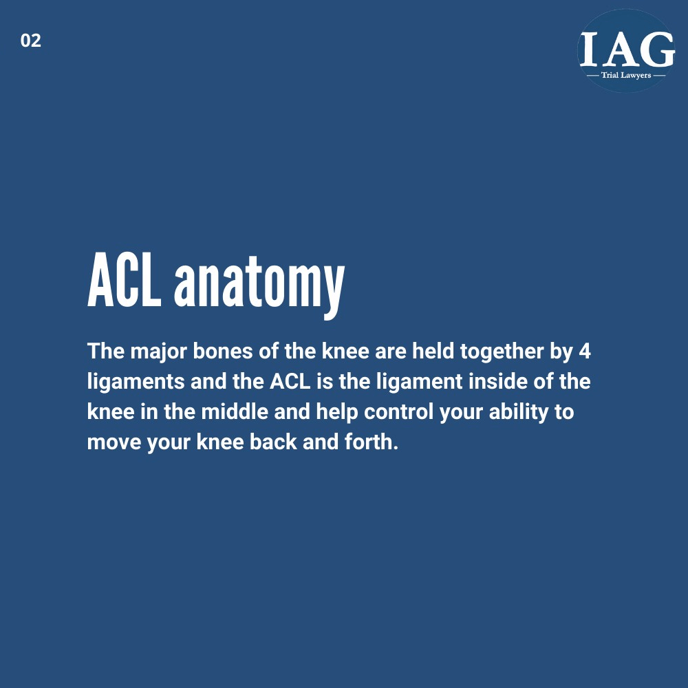 ACL injury anatomy